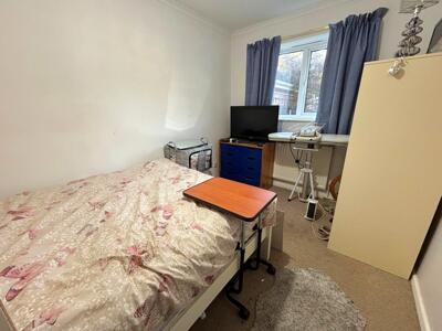 Picture 8
